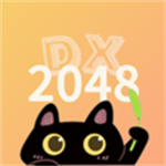 2048DX