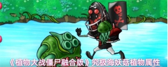 ֲսʬںϰ澿ֲʲô ںϰ澿ֲ